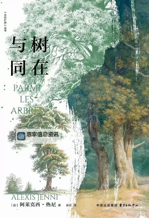 武汉市静默五天:城市沉寂背后的深刻反思图1