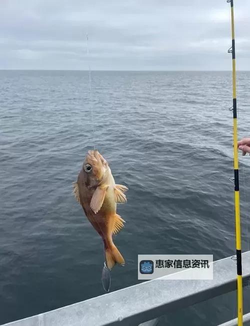 探索珠海钓鱼网:畅享海钓乐趣的理想平台图1