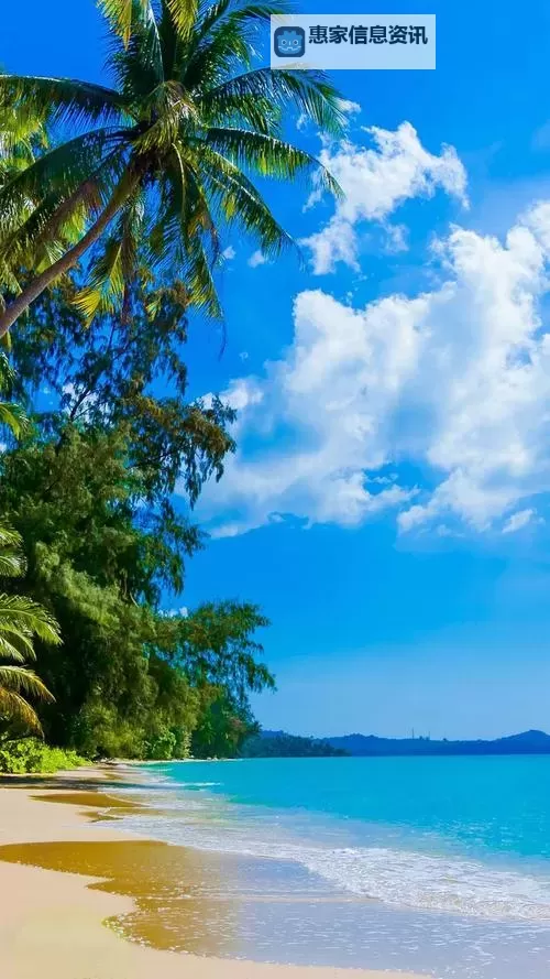 四虎AV无码专区亚洲:最全精品视频资源推荐图2