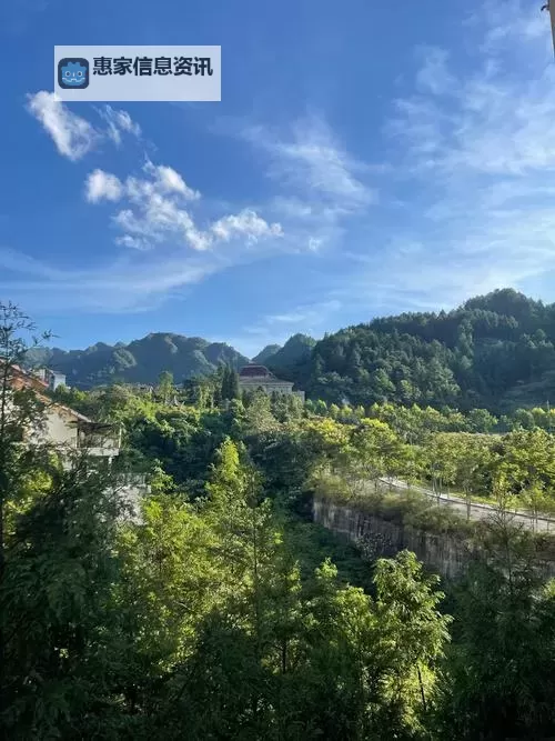 梦塔防手游怎么下架了?原因解析与后续动态探讨图1