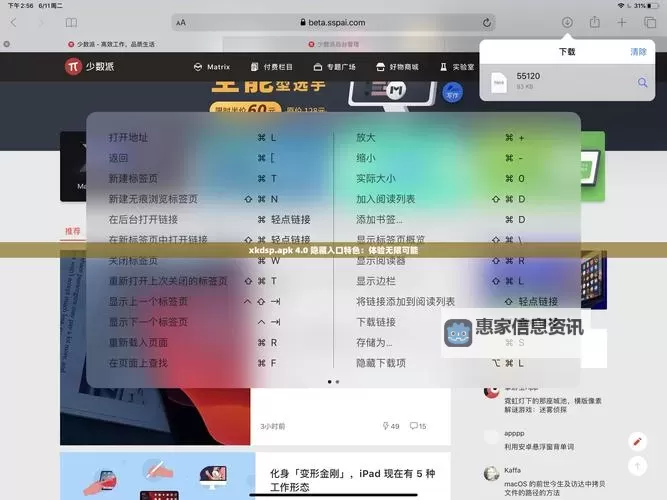 xk是什么软件:全面介绍与功能分析图2