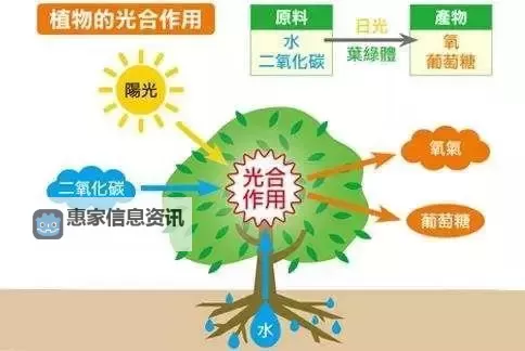 《星空时代》资源攻略：一文看懂所有资源的作用和获取方法！图1