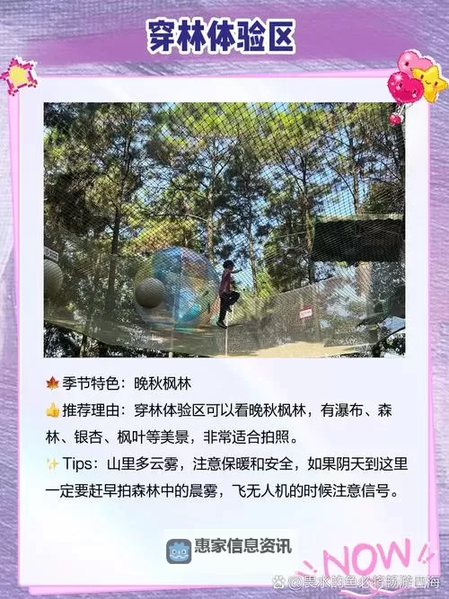 探索多彩世界：畅游精彩内容的一区二区入口指南图1