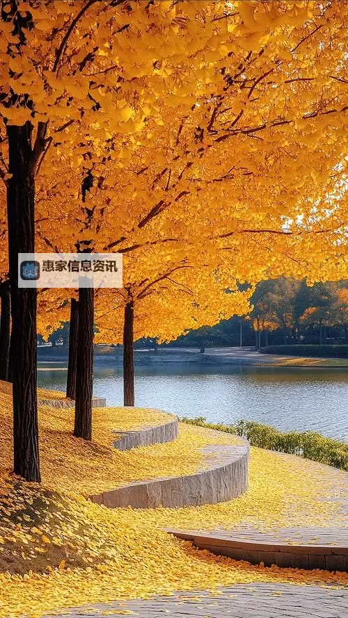 《巫师3》洗点药水商人位置 洗点药水商人在哪图1