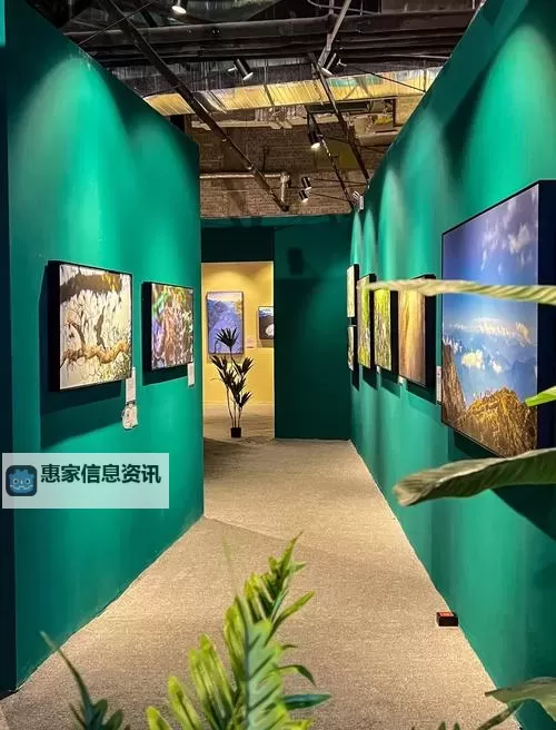 探索精彩纷呈的世界：五月丁香综合在线带你畅享视觉盛宴图1