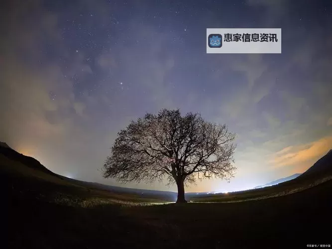 重来(1V2)：重塑人生的希望与挑战图1