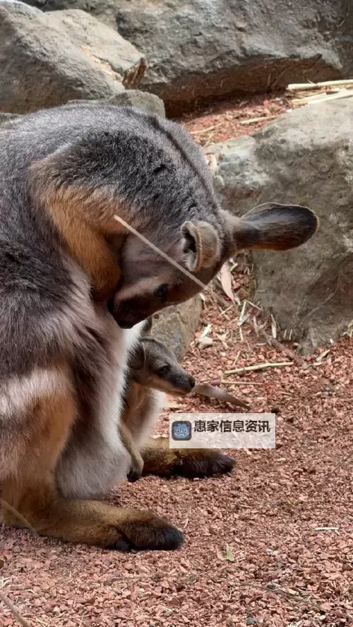 怎么知道自己的CDKEY兑换码的详细方法与步骤图1