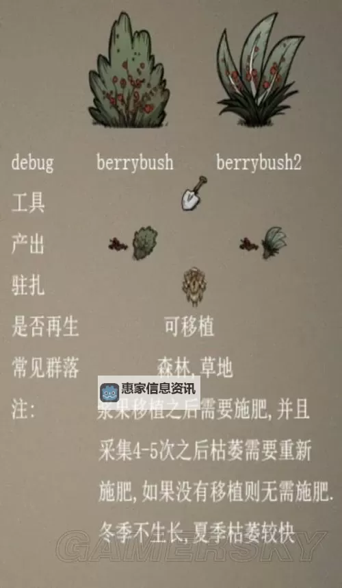 《饥荒》新手开局及生存图文教学 新手攻略图2