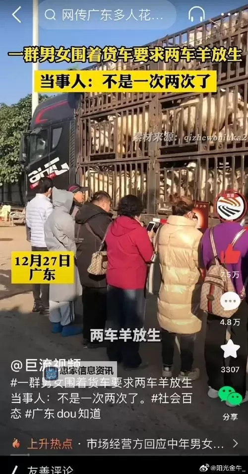 中年男女站在载羊货车旁要求放生引发动物保护关注图1