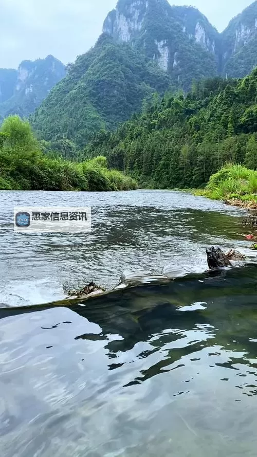 揭秘中国RAPPERDISSSUBS老大妈：不一样的街头风采与说唱故事图1