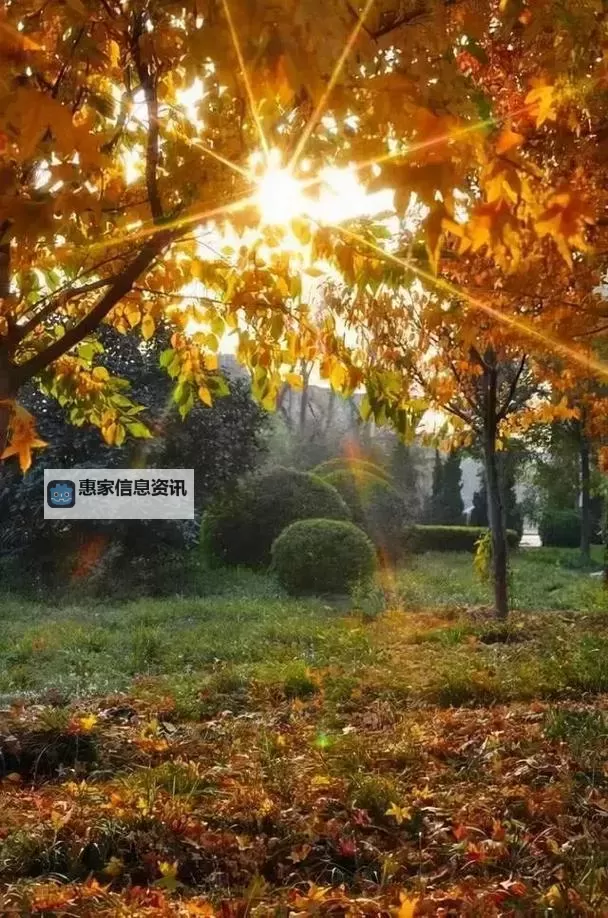 《勇者斗恶龙英雄2》小金币获得方法及兑换道具一览 小金币怎么获得图1