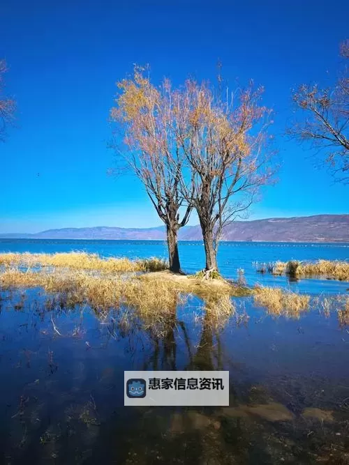 《光与影33号远征队》白色经怪支线任务攻略 帮助敌人成就达成方法图1