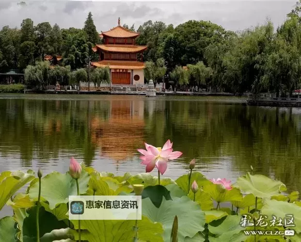 醉美的夏天:海风与星光下的青春日记图1