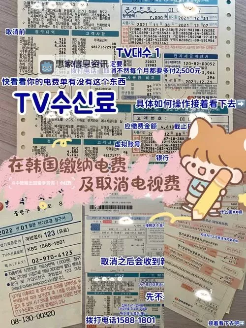 韩国三色电费2024免费吗现在:权威解读与最新动态图1