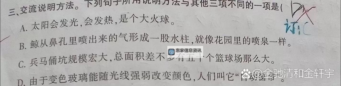 做错一题进去一次C:一次考试里的自我救赎与成长图1